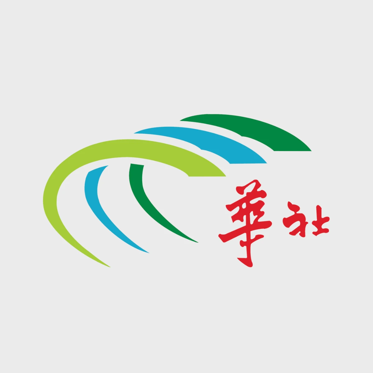 Chinese Community Center print campaign preview